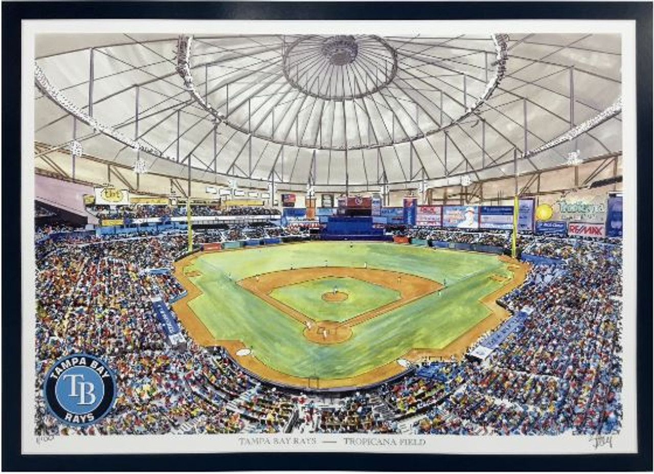 tampa baseball stadium