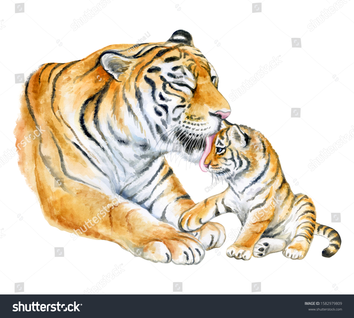 cute baby tiger and mom