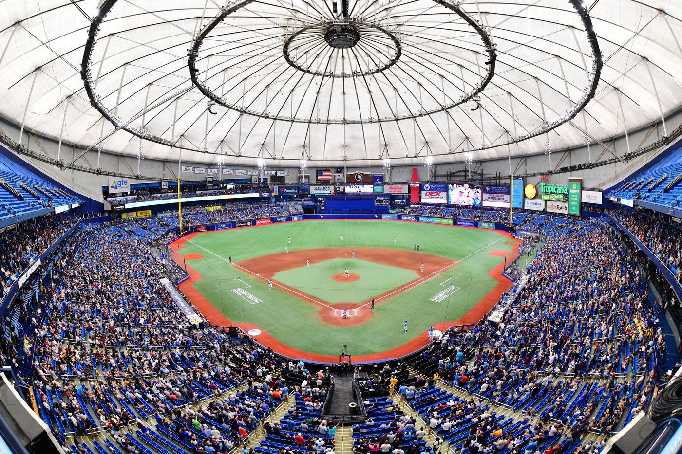 tampa baseball stadium