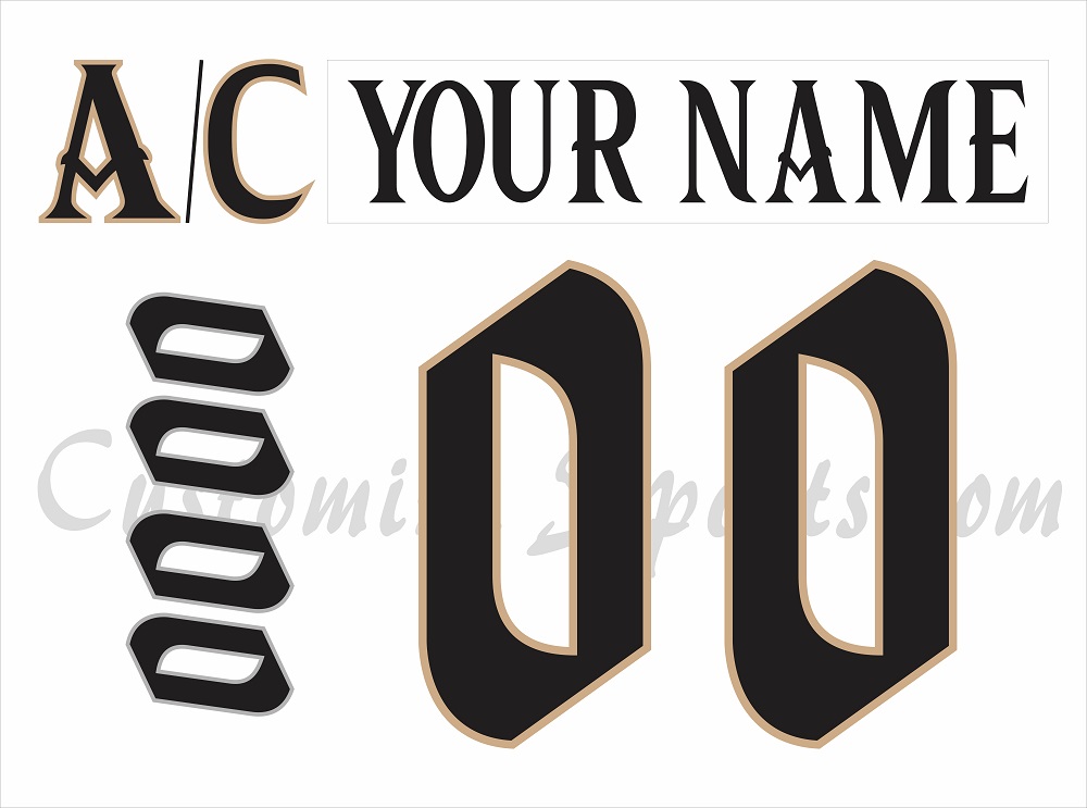 tampa lightning gasparilla