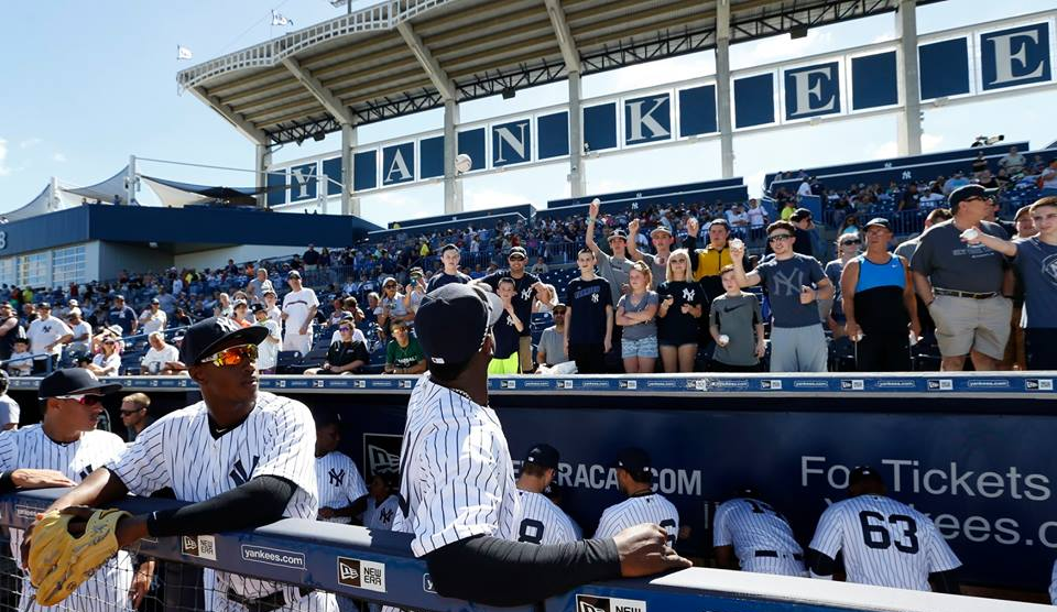 yankees fans cheering
