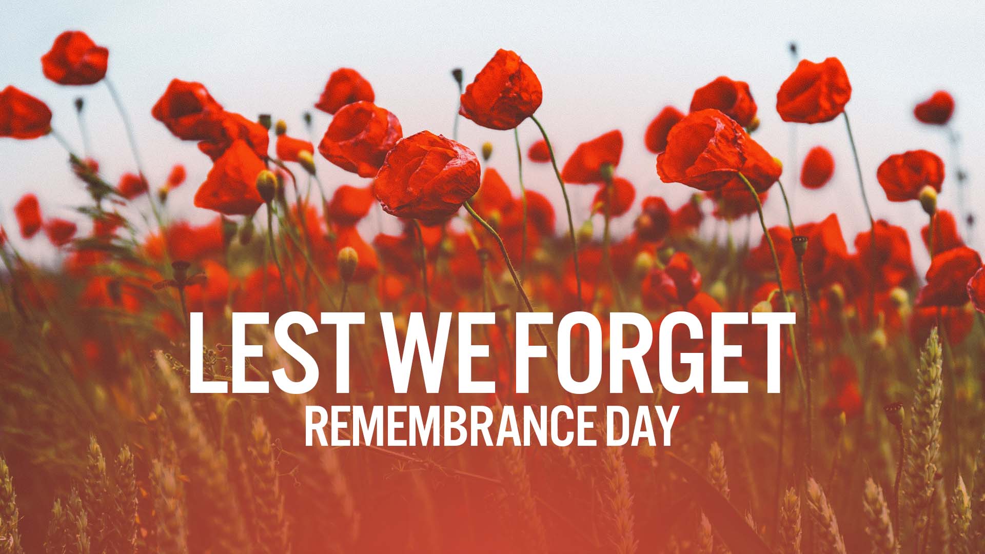 lest we forget canada remembrance day 2022